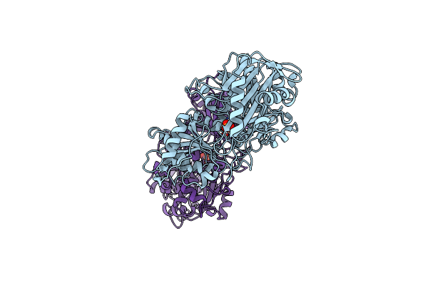 1LXT image