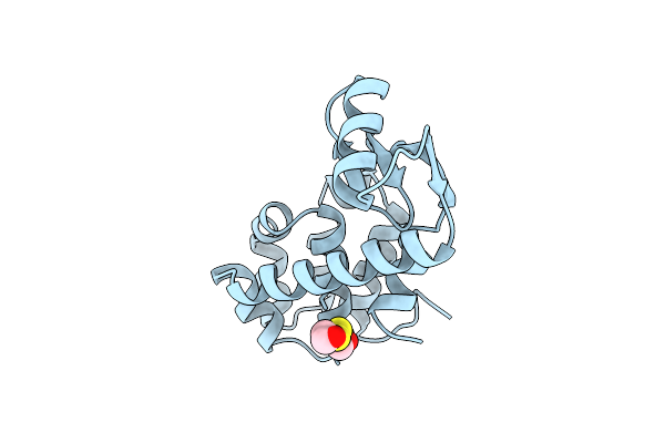 1LYE image