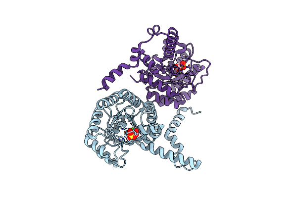 1M1B image