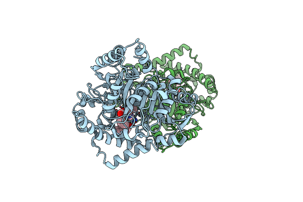 1M21 image