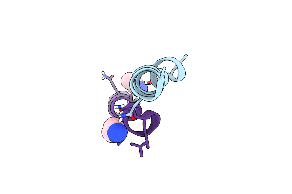 1M24 image