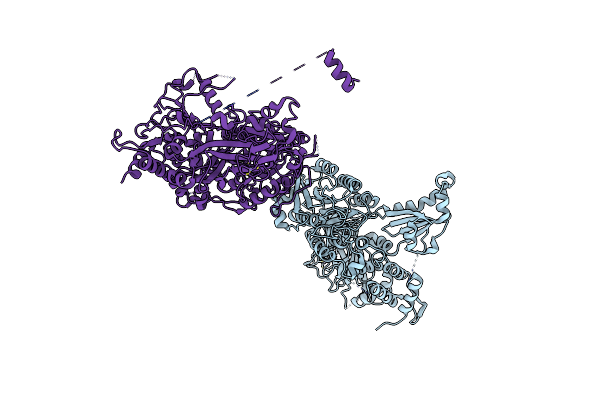 1M2V image