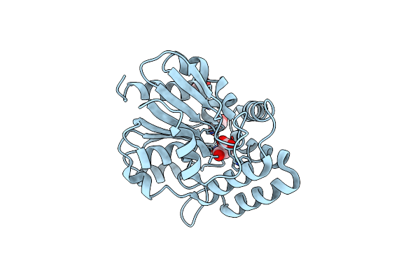 1M33 image