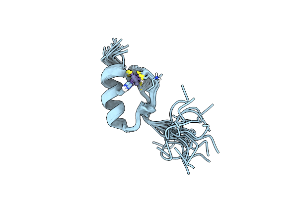 1M36 image