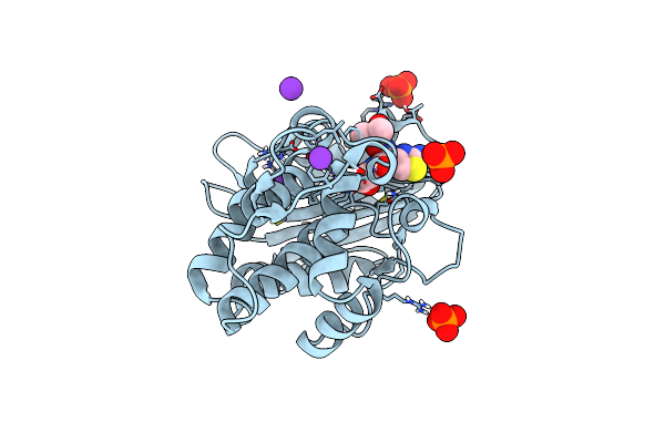 1M40 image