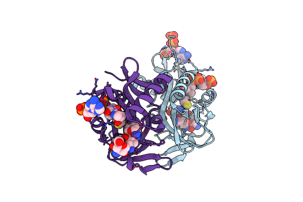 1M4D image