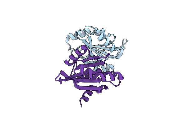 1M4J image