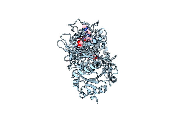 1M51 image