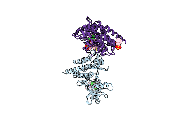 1M52 image