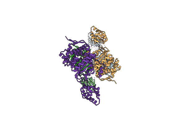 1M5Y image