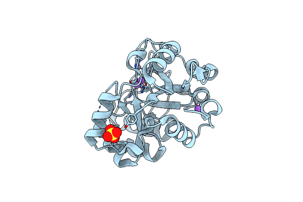 1M65 image