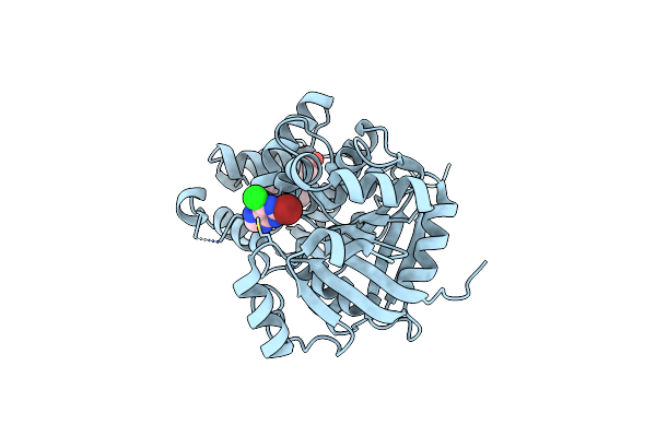 1M66 image