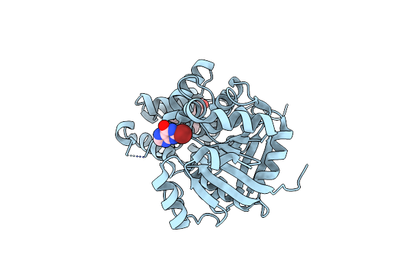 1M67 image