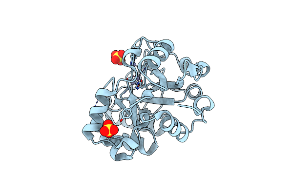 1M68 image