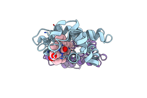 1M6C image