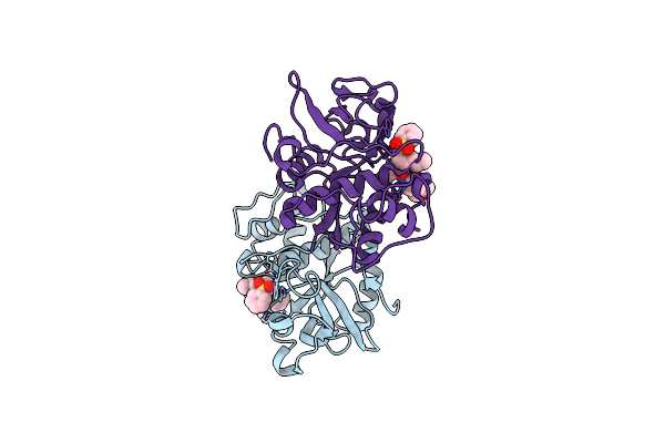 1M6D image