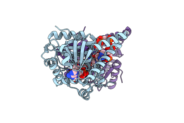 1M76 image