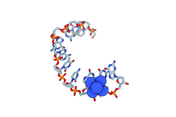 1M77 image