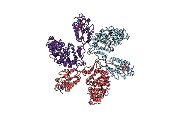 1M8P image