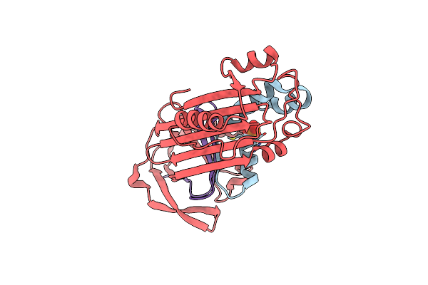 1M93 image