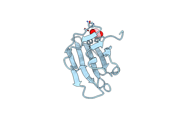 1M9Z image