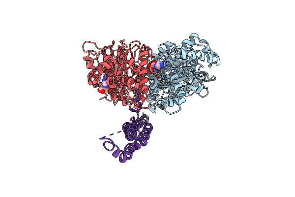 1MAB image