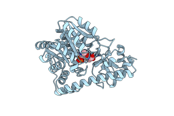 1MAQ image