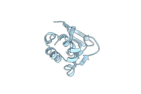 1MB1 image