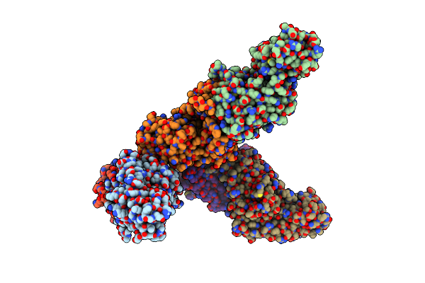 1MB2 image