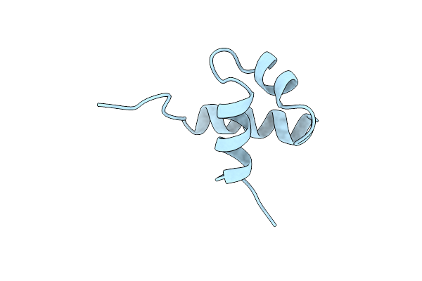 1MBE image