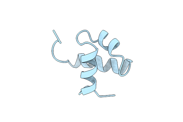 1MBG image