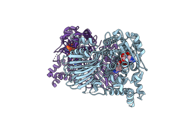 1MC1 image
