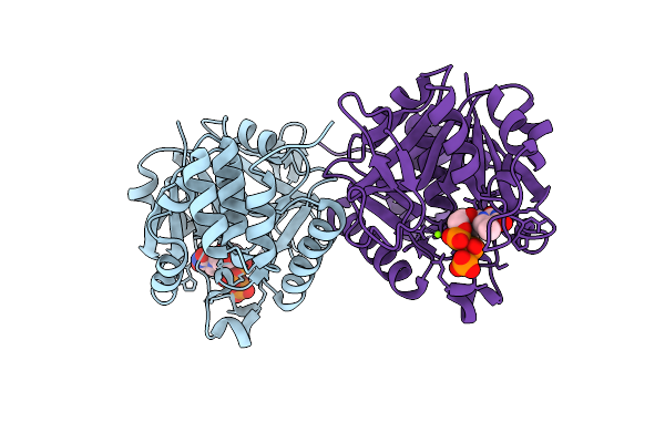 1MC3 image