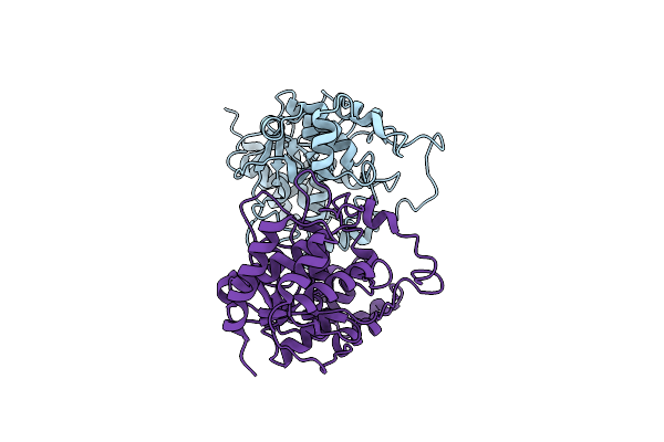 1MC8 image
