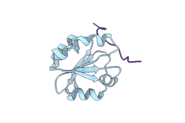 1MDI image