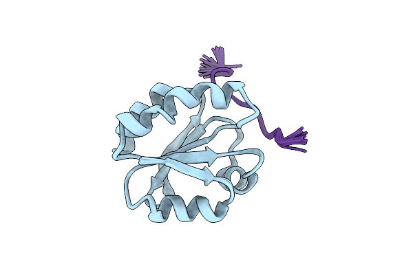 1MDJ image