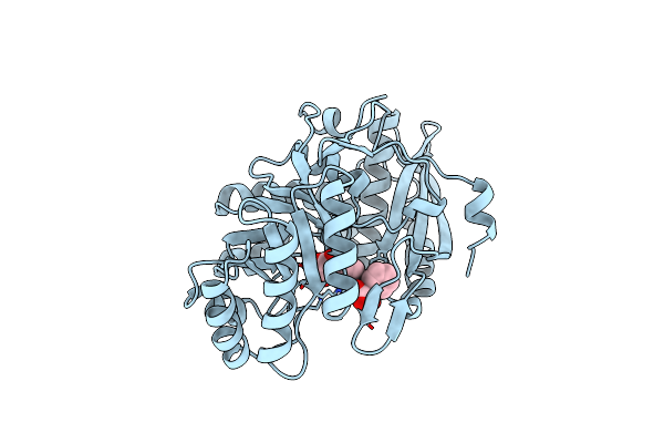 1MDL image
