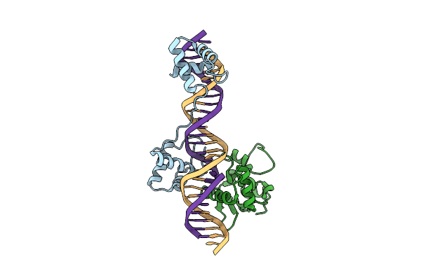 1MDM image