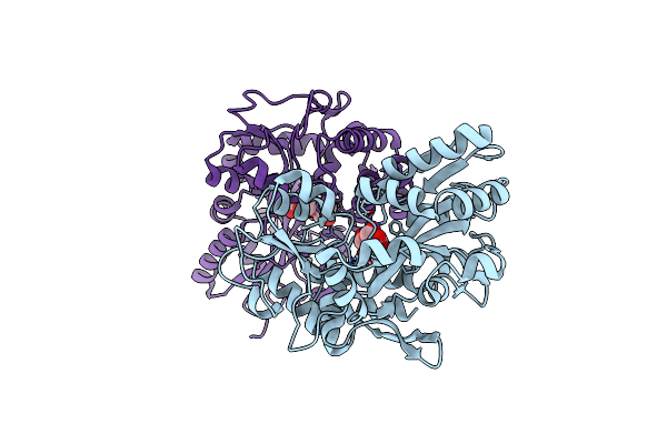 1MDP image