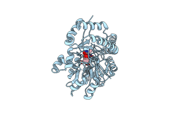 1MDZ image