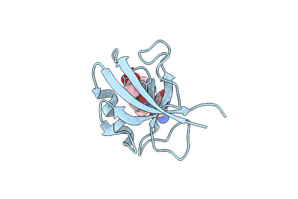 1MFL image