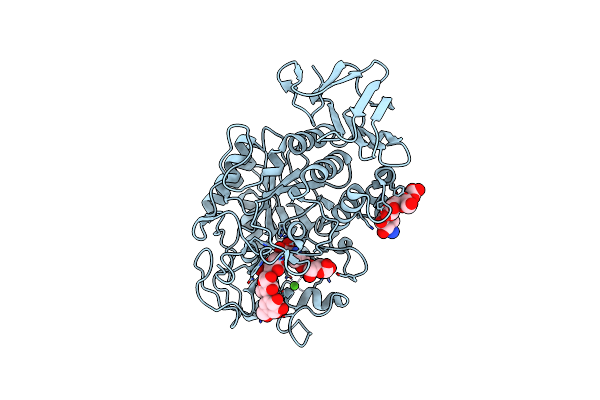 1MFV image