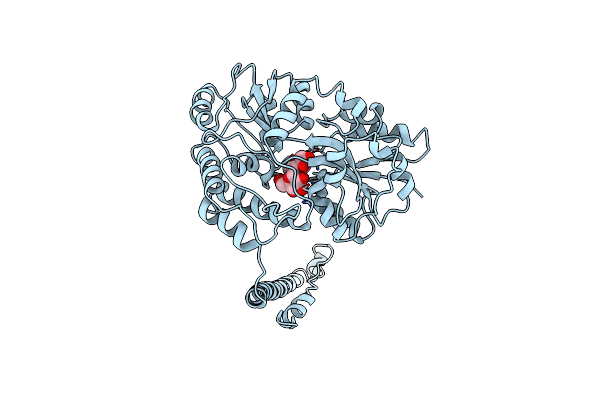 1MG1 image