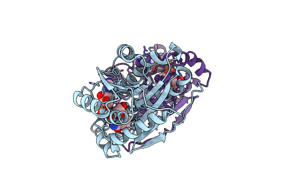 1MG5 image