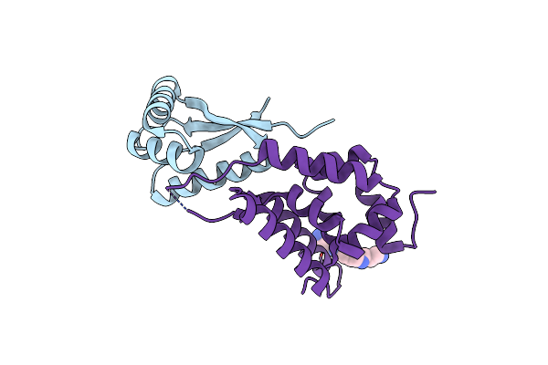1MG9 image