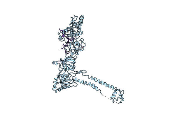 1MIU image