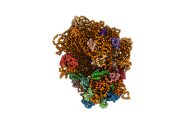 1ML5 image