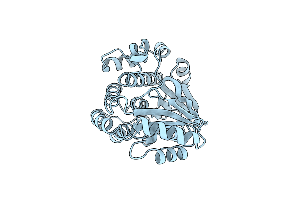 1MLA image