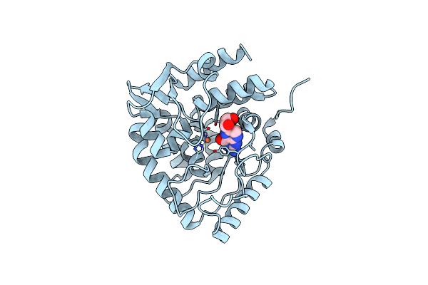 1MLW image