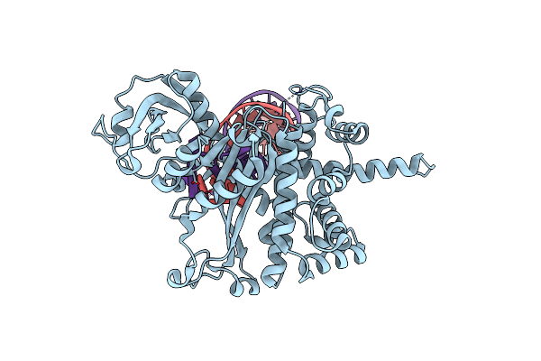 1MM8 image